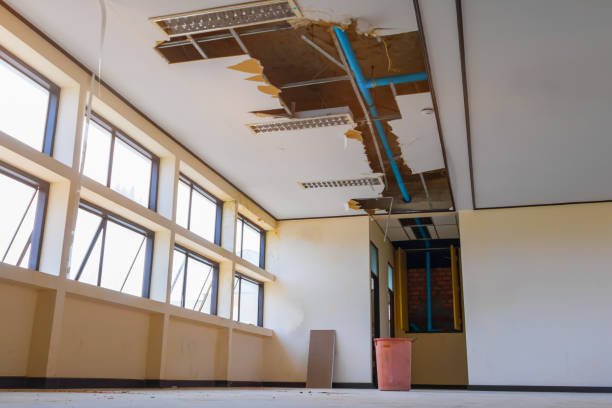 Best Water damage restoration process  in Slippery Rock, PA