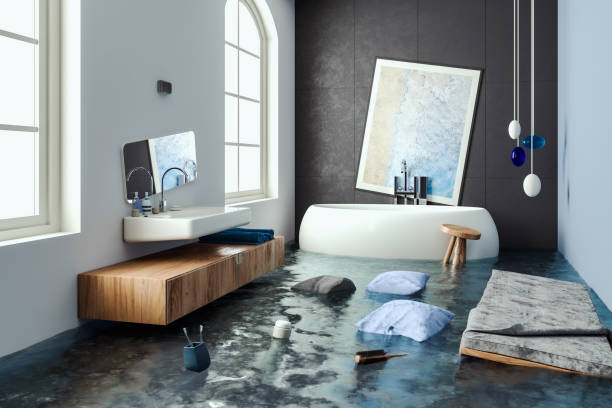 Best Water damage cleanup near me  in Slippery Rock, PA