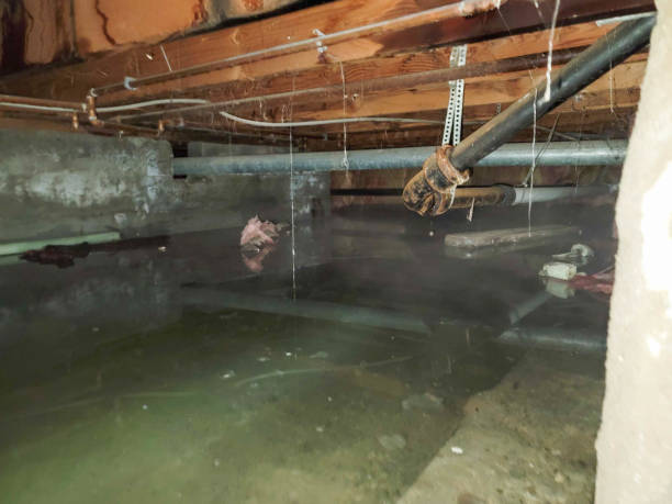 Best 24-hour water damage restoration  in Slippery Rock, PA