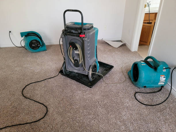 Best Sewage cleanup and water damage restoration  in Slippery Rock, PA