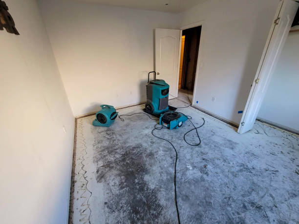 Best Commercial water damage restoration  in Slippery Rock, PA