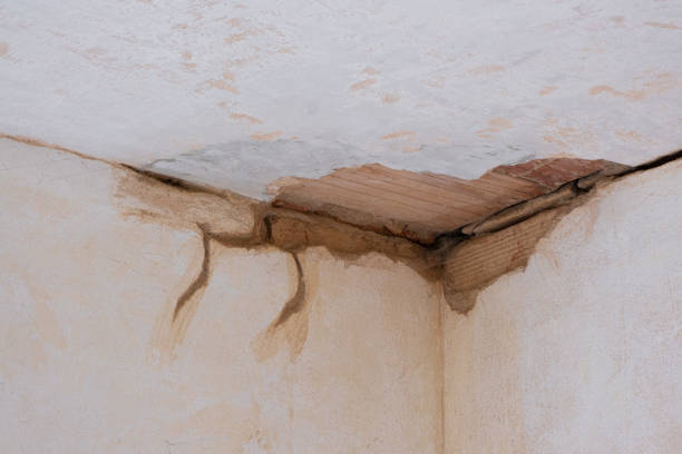 Slippery Rock, PA Water damage restoration Pros