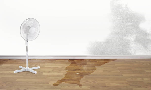 Best Commercial water damage restoration  in Slippery Rock, PA