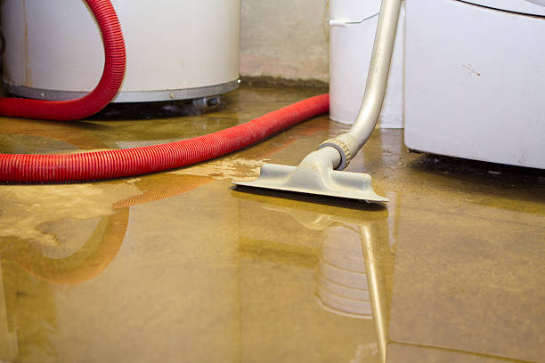 Best Water damage restoration process  in Slippery Rock, PA