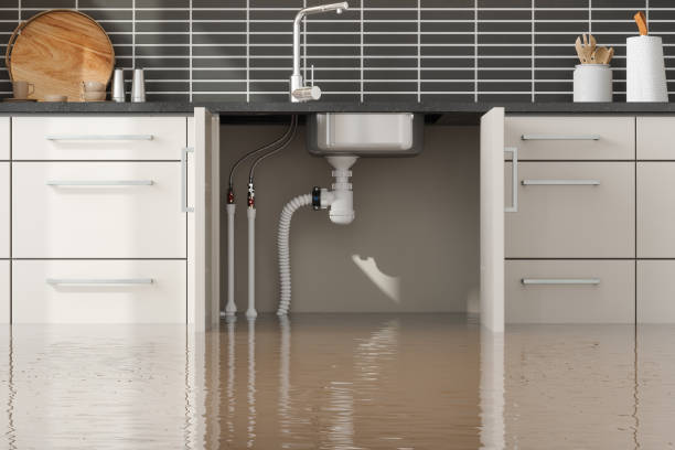 Best Mold removal after water damage  in Slippery Rock, PA