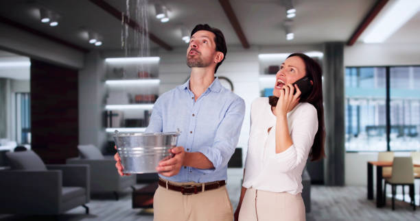 Best Local water damage restoration  in Slippery Rock, PA